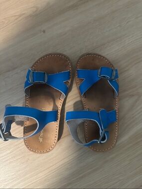 Freshly Picked Bright Blue Toddler Leather Buckle Sandals